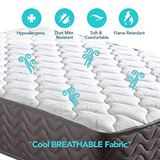 Pocket Spring Mattress